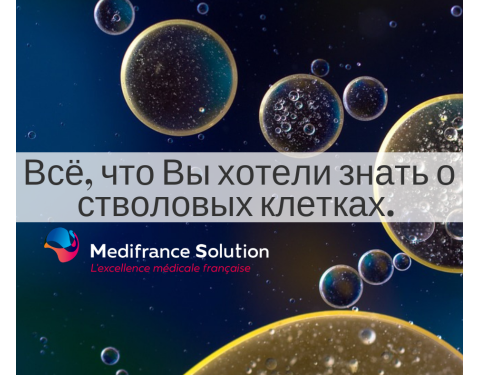 Всё, что Вы хотели знать о стволовых клетках. Лечение артроза и мужского бесплодия. Вопросы и ответы.